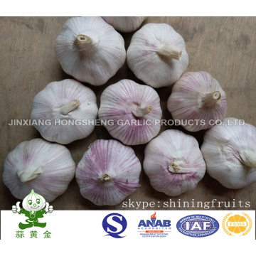 Ajo Blanco Normal Fresco Jinxiang Hongsheng Garlic Product Company